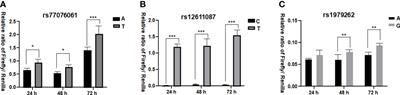 Association of genetic polymorphisms in the C19orf66 gene and biochemical indices of HBV infected individuals in Yunnan